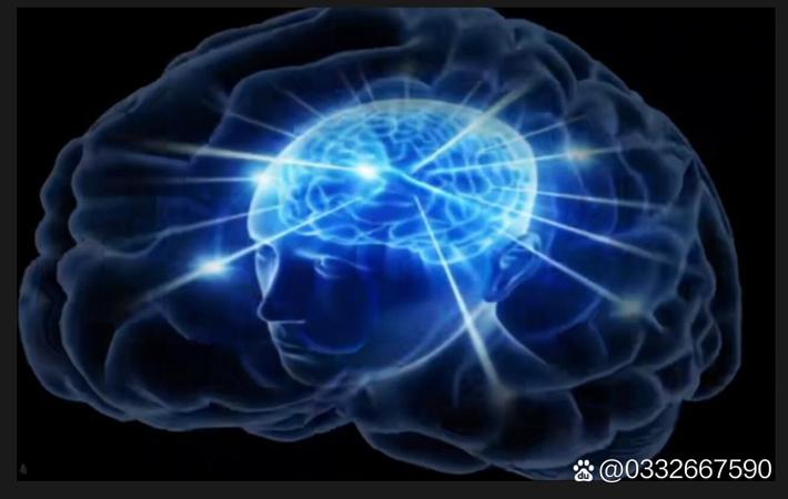 啥叫扑克脸、肃穆面孔